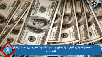 أسعار الدولار مقابل الجنيه اليوم السبت تفاوت طفيف بين أسعار البنوك الرسمية